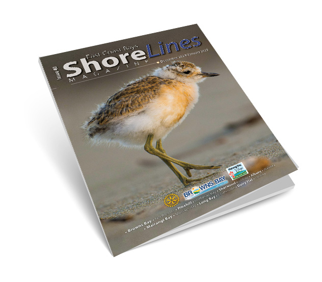 Shorelines issue 40